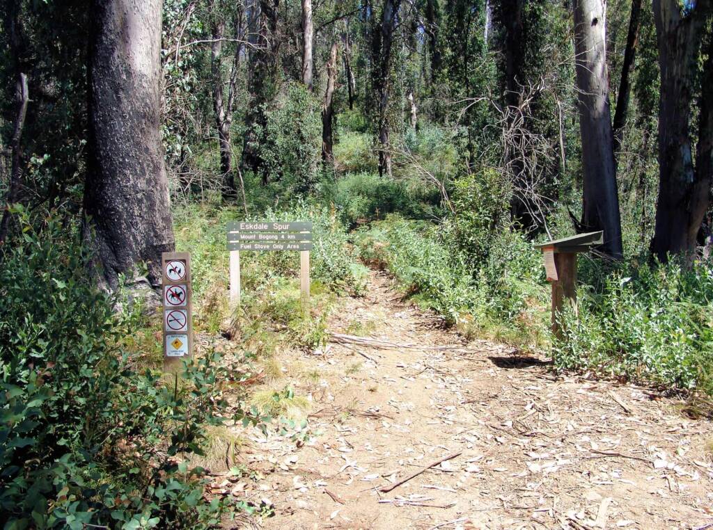 Start of the Eskdale Spur Walking Track, Mountain Creek, VIC
