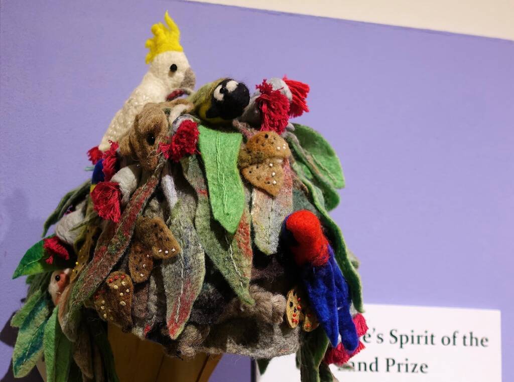 Mrs Haggie's Spirit of the Land Special Mention category - 2022 Alice Springs Beanie Festival