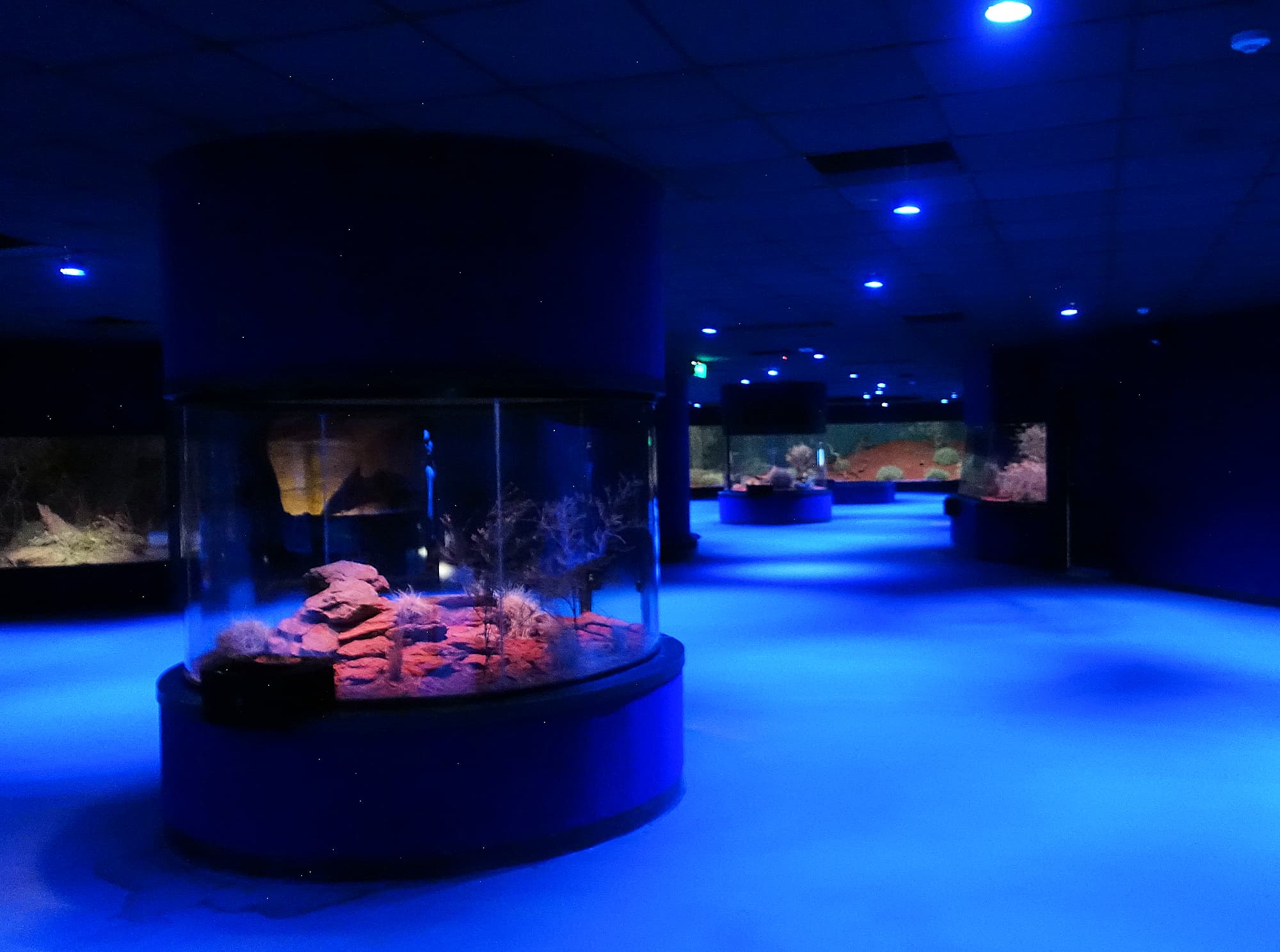 Alice Springs Desert Park Ausemade