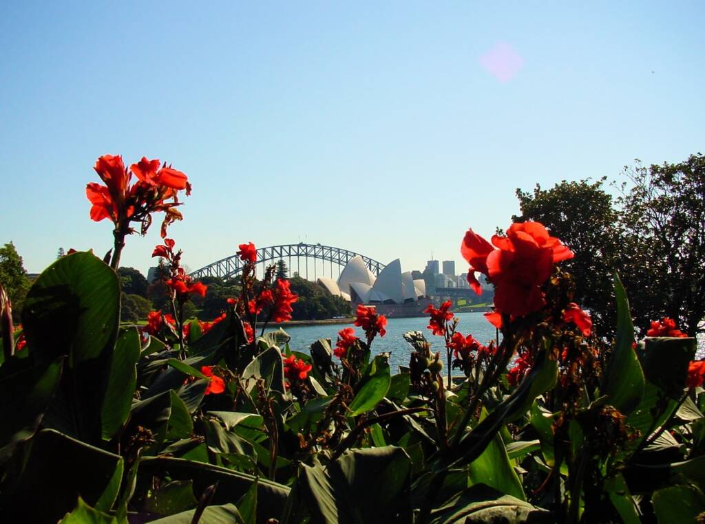 Sydney Opera House and Sydney Harbour Bridge - viewed from Royal Botanic Garden Sydney NSW