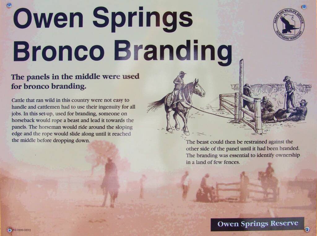 Owen Springs Bronco Branding signage