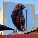 Painted Finch (2018 Alice Springs Street Art Festival) by Chris Scott, Alice Springs NT