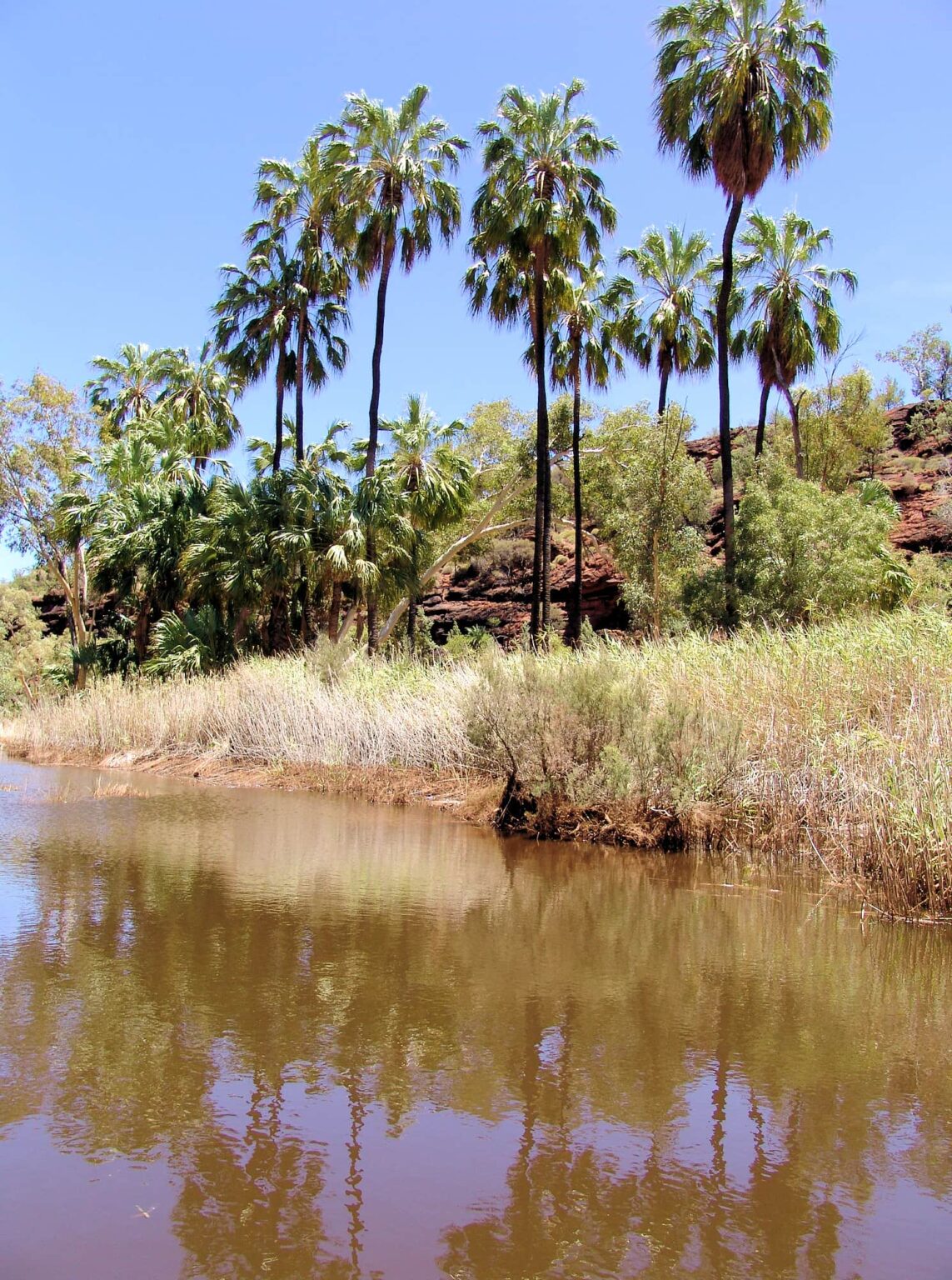 Palm Valley Ausemade