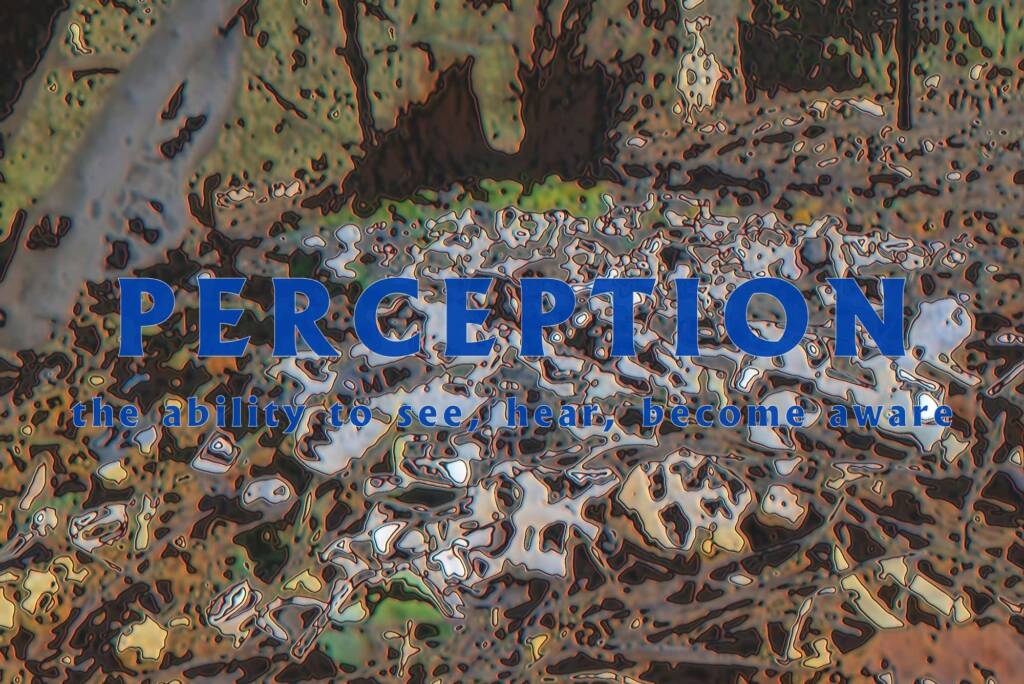 Perception - the ability to see, hear, become aware - Ausemade