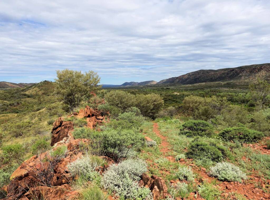 Point Howard Lookout, West Macdonnell Ranges