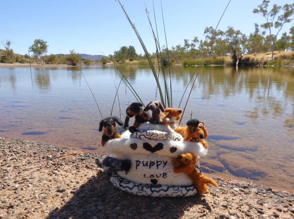 Puppy Love, Alice Springs Beanie Festival, Central Australia NT