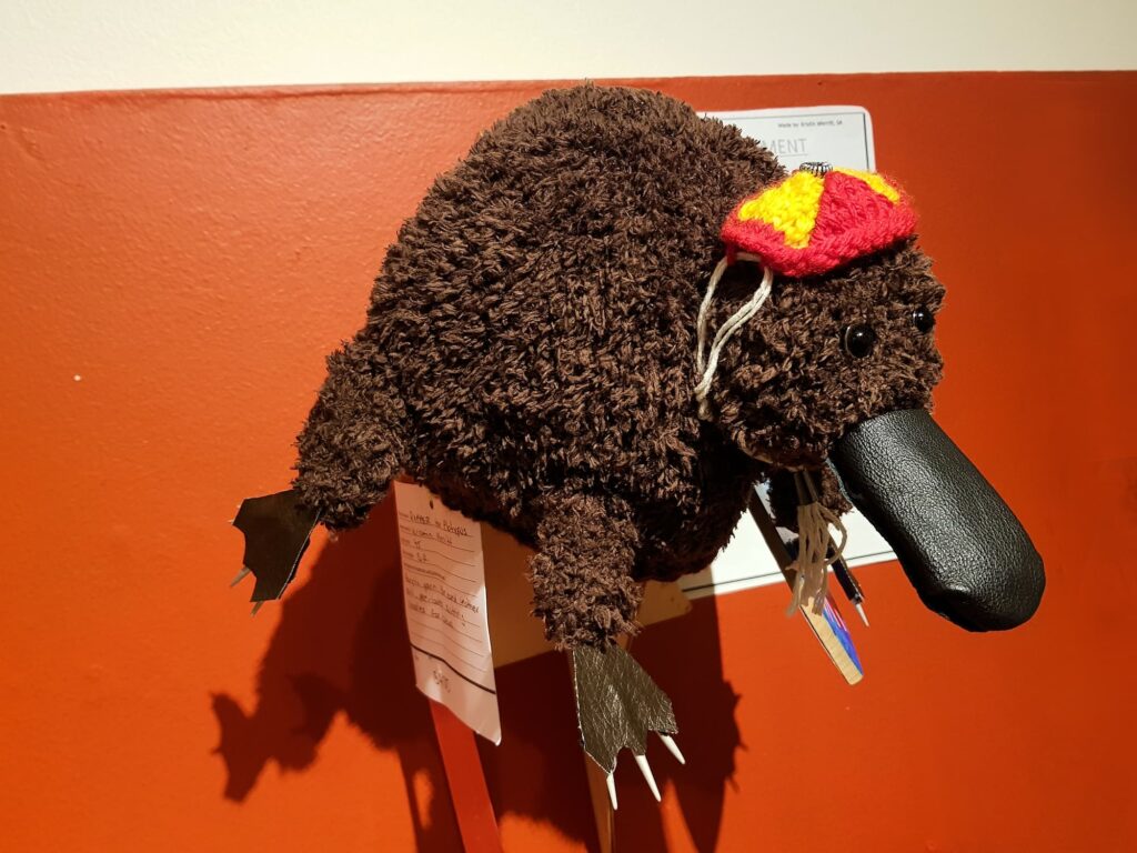 Ripper by Kristin Merritt SA, Alice Springs Beanie Festival 2025