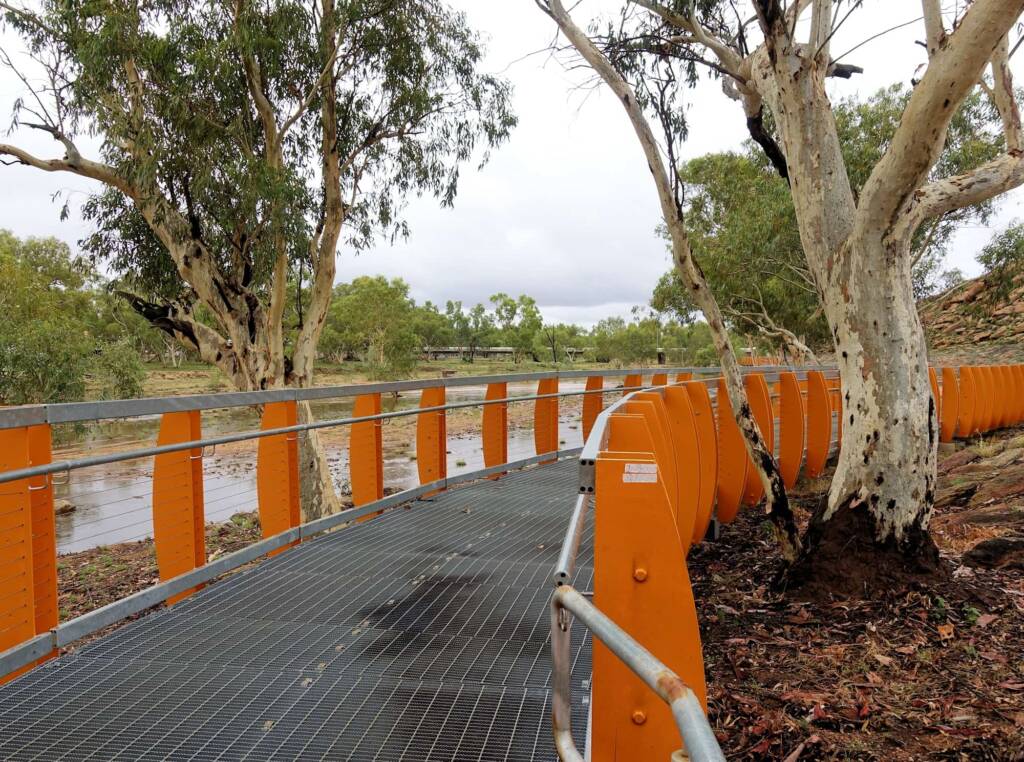 River Red Gum (Eucalyptus camaldulensis) along the controversial Todd River Boardwalk, Alice Springs NT