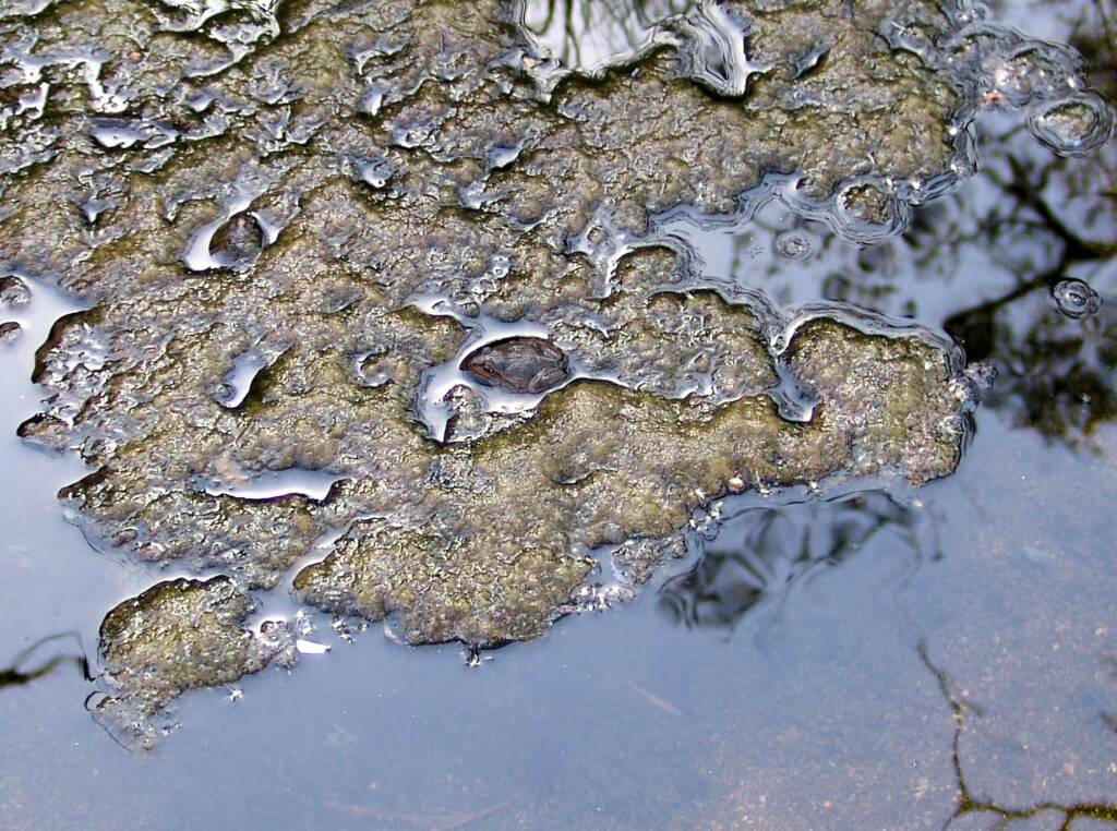 Water patterns at Simpsons Gap, NT