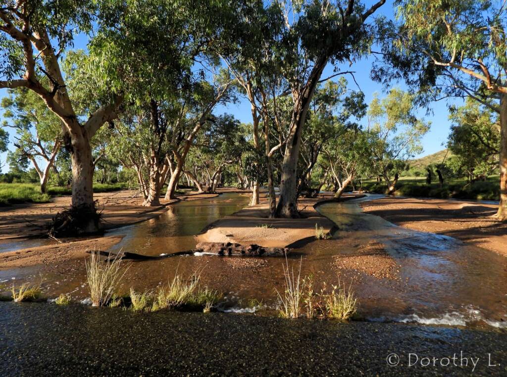 Roe Creek, Simpsons Gap, NT © Dorothy L.