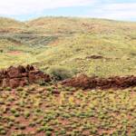 Hummock grassland - Spinifex / Triodia, West MacDonnell Ranges, NT