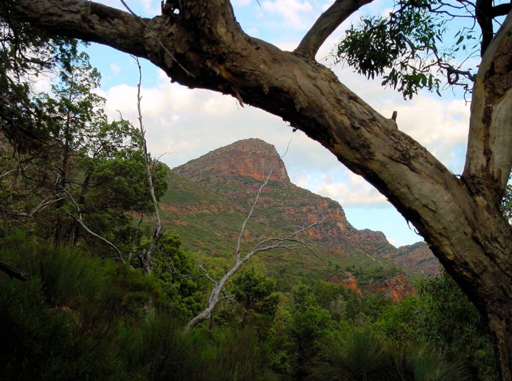View up to St Mary Peak, Wilpena Pound, SA