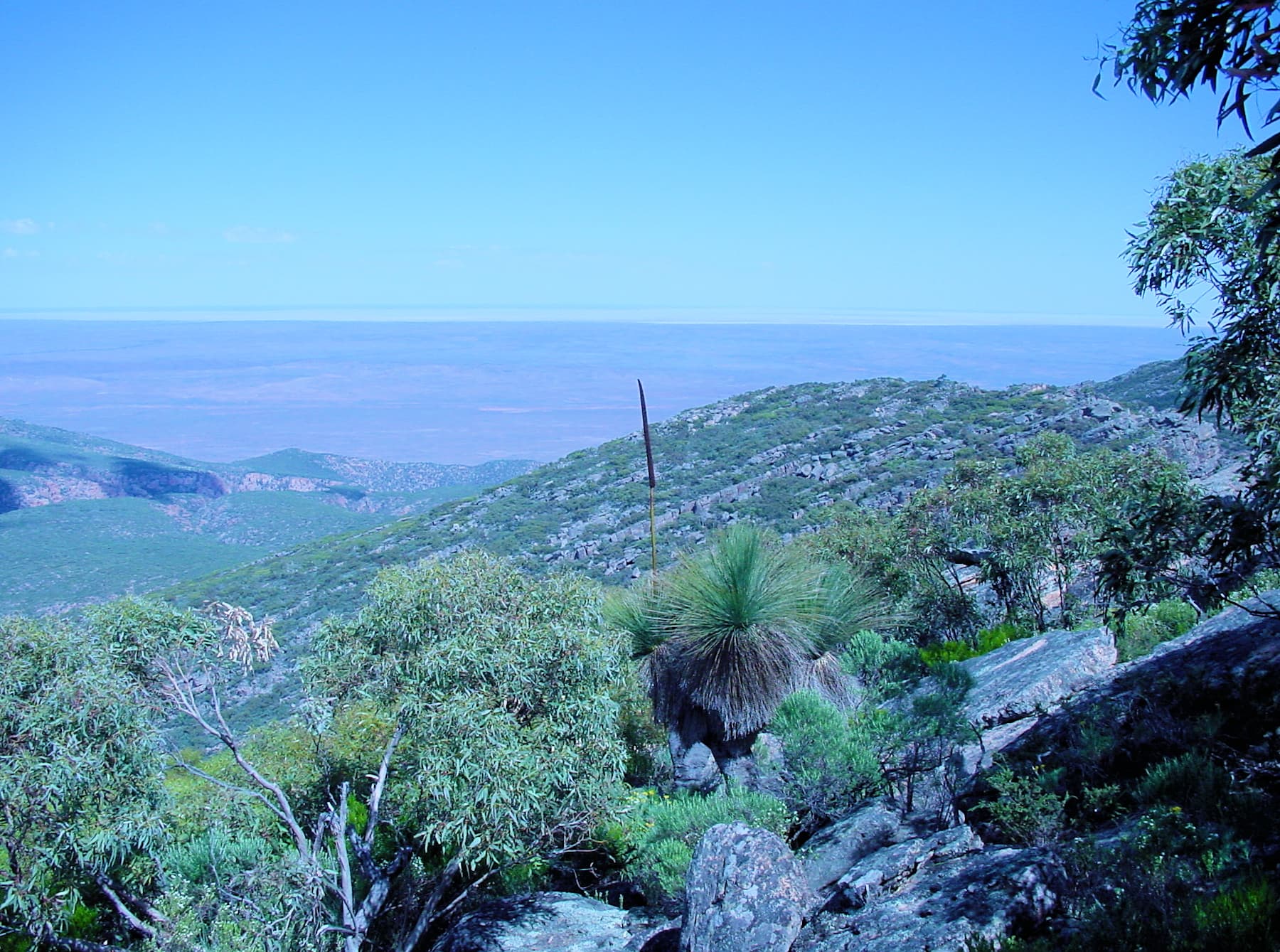 View from St Mary Peak, Wilpena Pound, SA