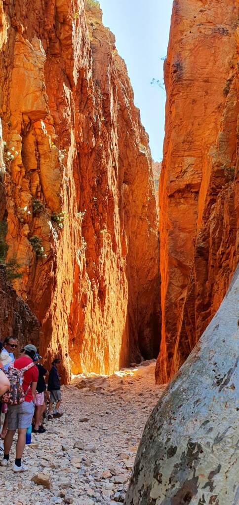 Standley Chasm © Bev's Private Hire / Kangaroo Palms NT