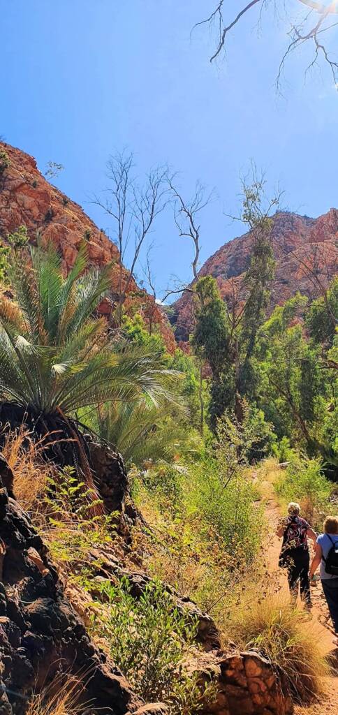 Standley Chasm walking track © Bev's Private Hire / Kangaroo Palms NT