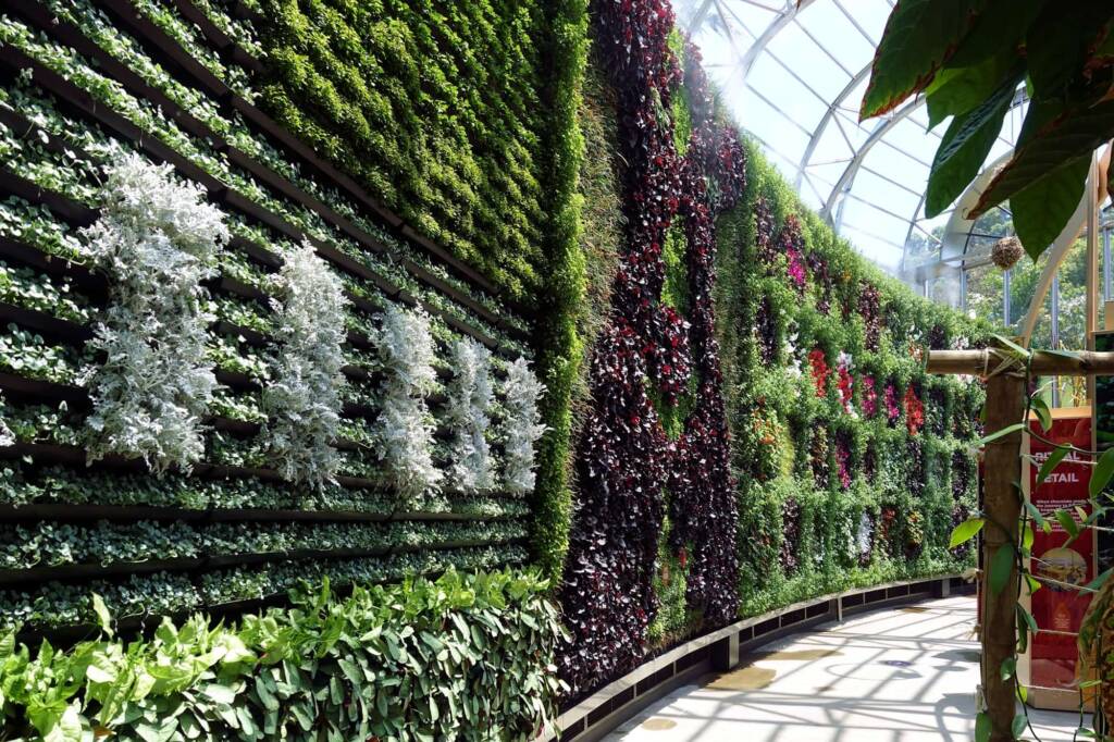 The Cocao Tree Exhibition Display, The Calyx, Royal Botanic Garden Sydney NSW