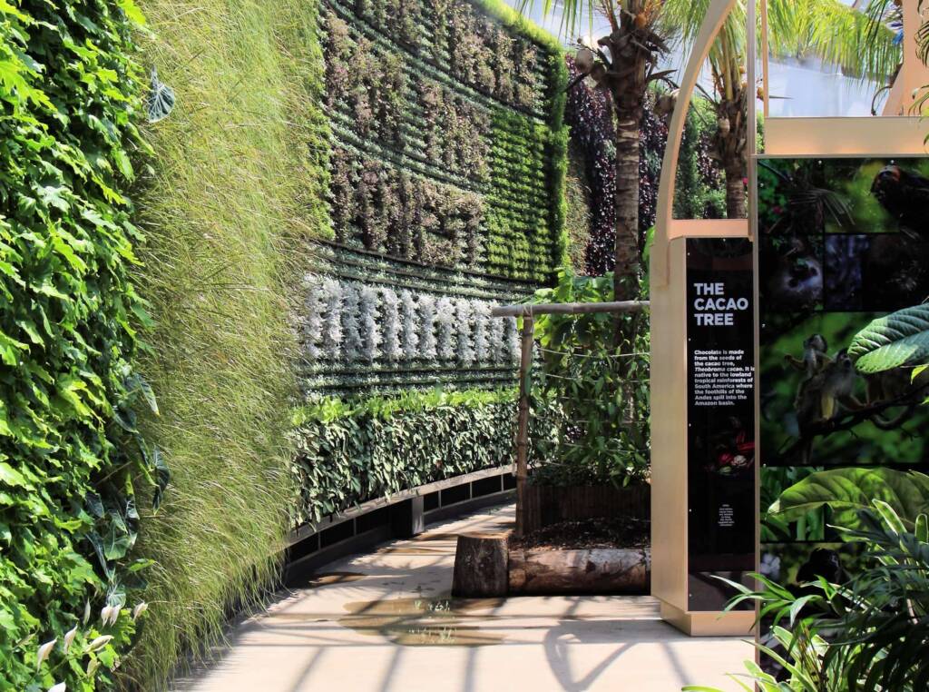 The Cocao Tree Exhibition Display, The Calyx, Royal Botanic Garden Sydney NSW