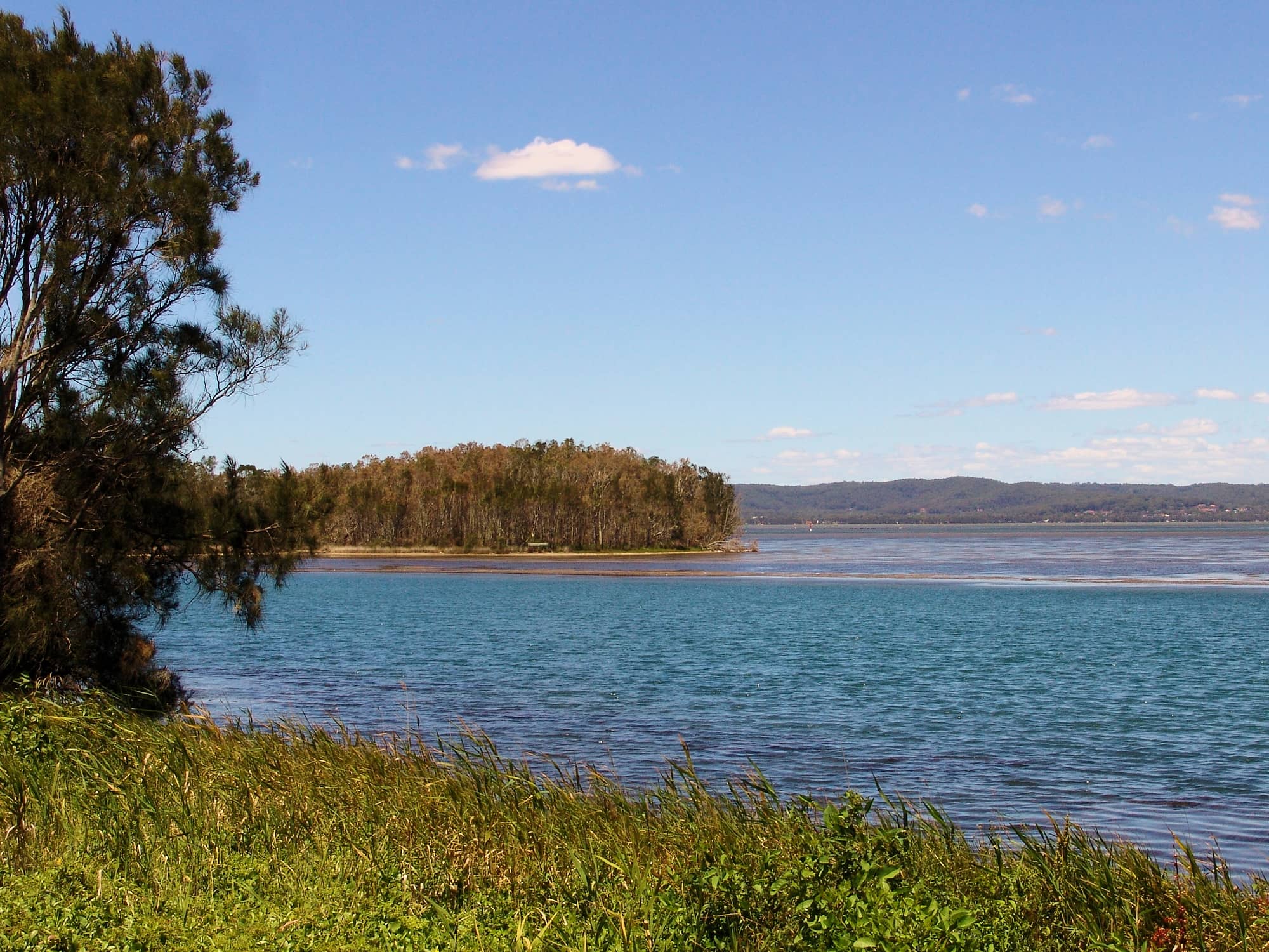 Central Coast – Ausemade