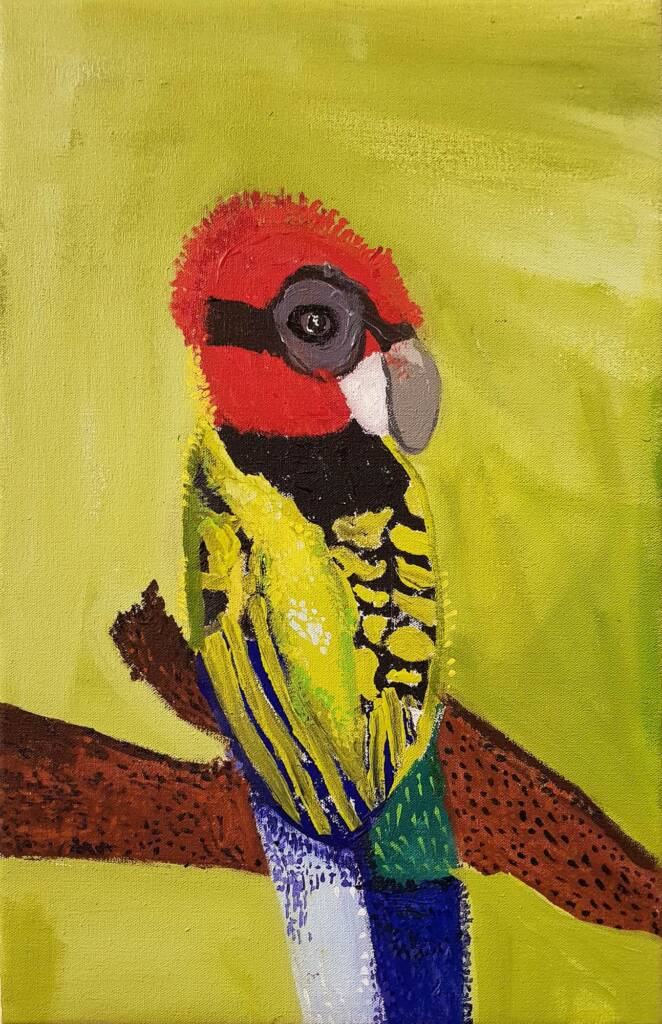 Tjulpu Kala Tjuta (Bird Many Colours) by Jane Mervin