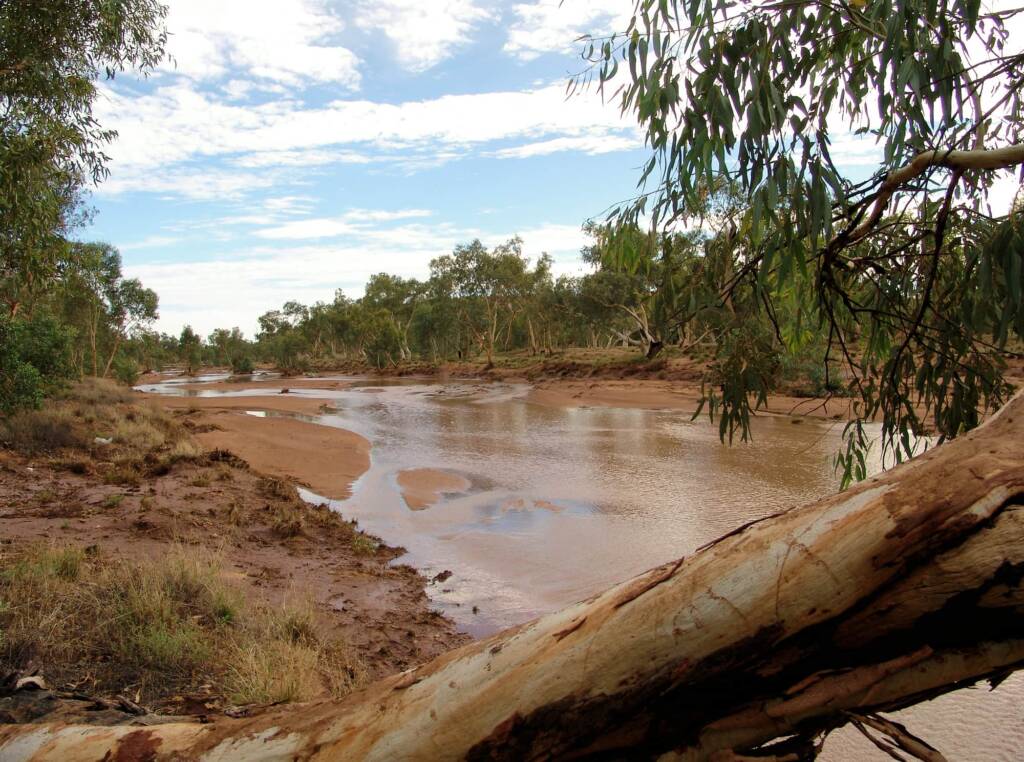 Todd River 2007, Alice Springs, NT
