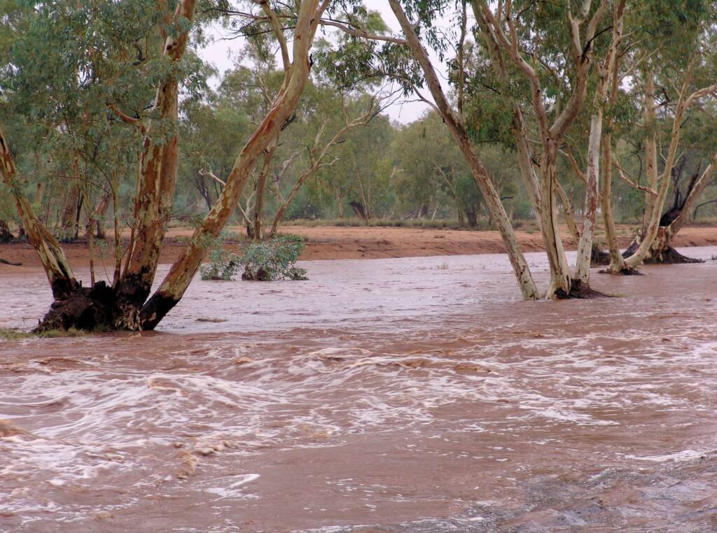 Water flowing swiftly down the Todd River, Alice Springs, 9 Jan 2010