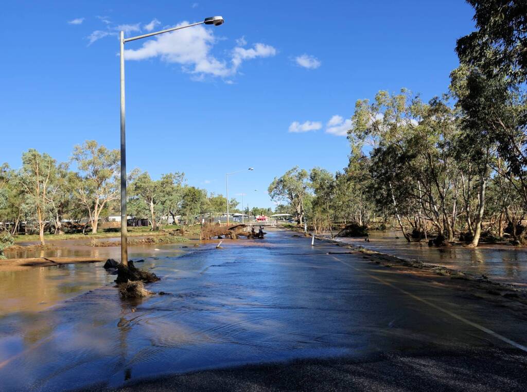 2021 the remains of the tree has been finally felled by the mighty Todd River and swept onto Palm Circuit.