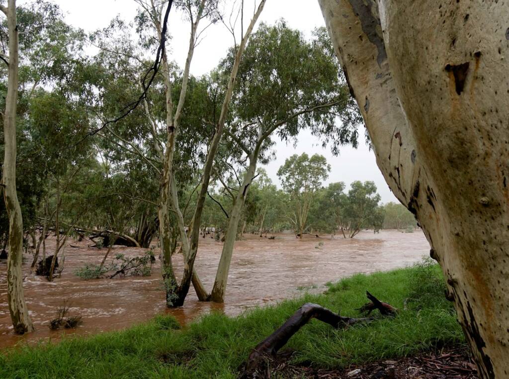 Todd River raging south of the The Gap, Alice Springs, NT
