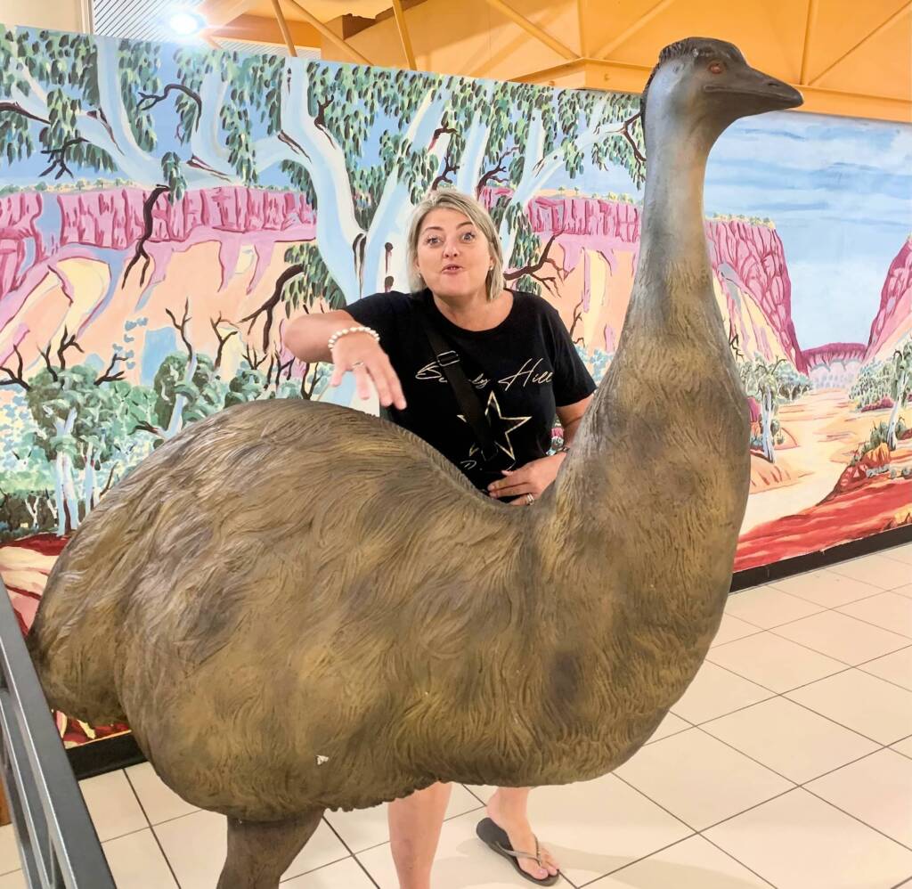 Emu at Alice Springs Plaza