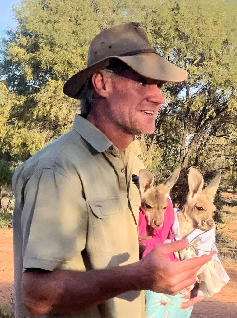 Brolga at the Kangaroo Sanctuary, Alice Springs