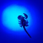 Deceased Desert Scorpion (genus Urodacus) under UV light, Alice Springs NT