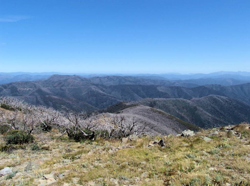 View from Danny’s Lookout, Victorian Alpine Region