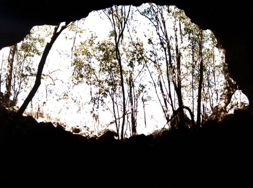 View out of the Undarr Lava Tube, Undara Volcanic National Park QLD