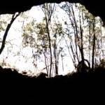 View out of the Undarr Lava Tube, Undara Volcanic National Park QLD