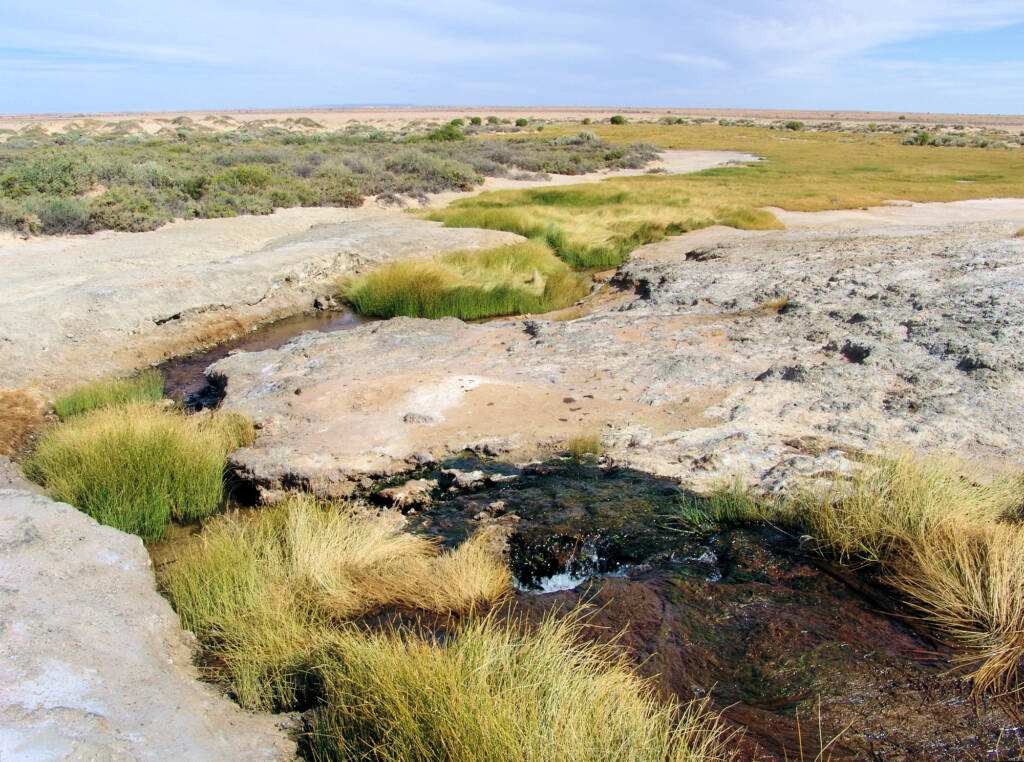 Mound springs wetland, Wabma Kadarbu Conservation Park