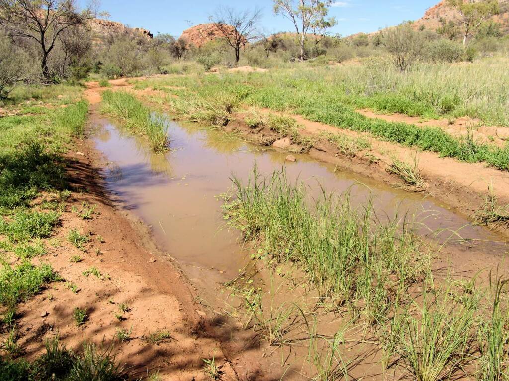 Water filled track to the Birthday Hole, West MacDonnell Ranges / Tjoritja