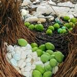 Treasures in the bower of the Western Bowerbird