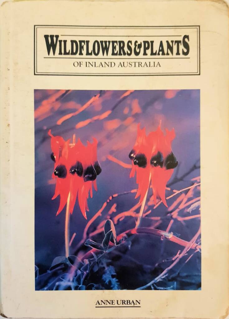 Wildflowers & Plants of Inland Australia by Anne Urban