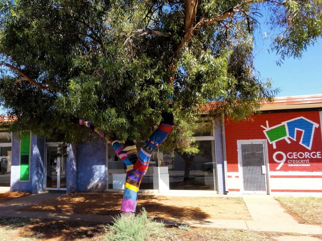Yarn Bomb Eucalypt 2012, Alice Springs NT